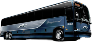 Greyhound